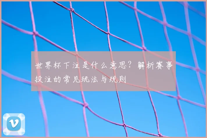 世界杯下注是什么意思？解析赛事投注的常见玩法与规则