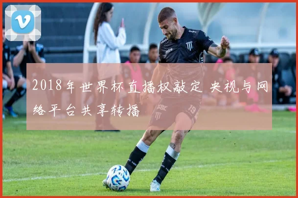 2018年世界杯直播权敲定 央视与网络平台共享转播