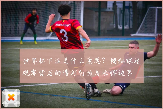 世界杯下注是什么意思？揭秘球迷观赛背后的博彩行为与法律边界