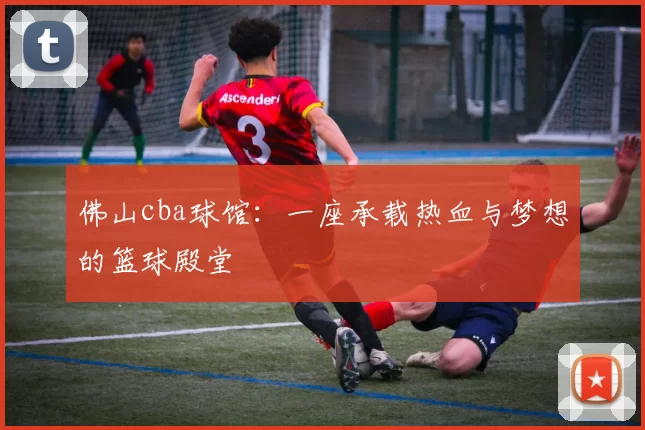 佛山cba球馆：一座承载热血与梦想的篮球殿堂