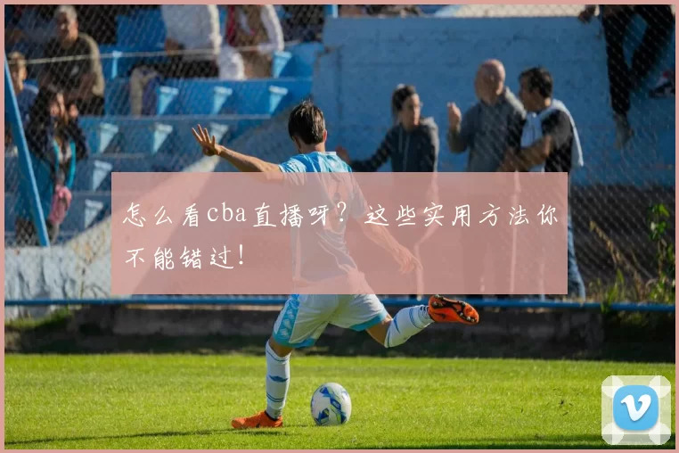 怎么看cba直播呀？这些实用方法你不能错过！