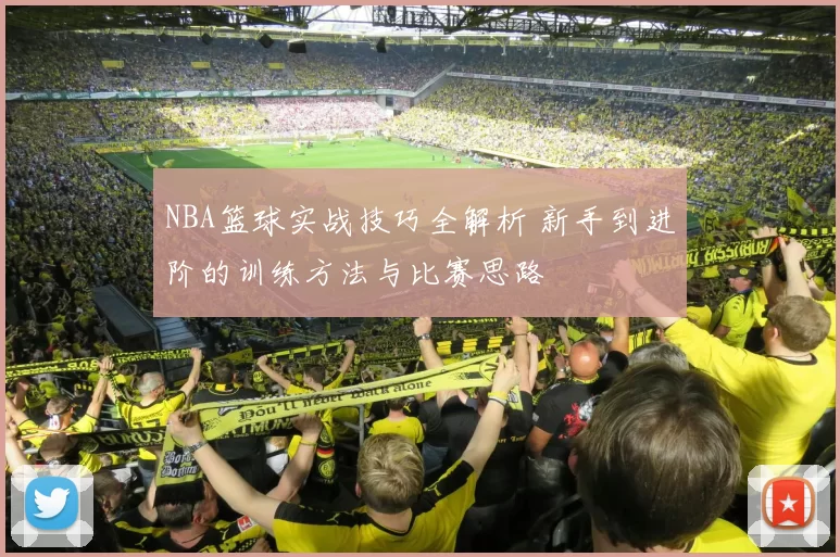 NBA篮球实战技巧全解析 新手到进阶的训练方法与比赛思路