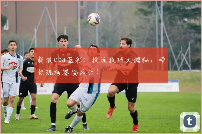新浪cba篮彩：投注技巧大揭秘，带你玩转赛场风云！