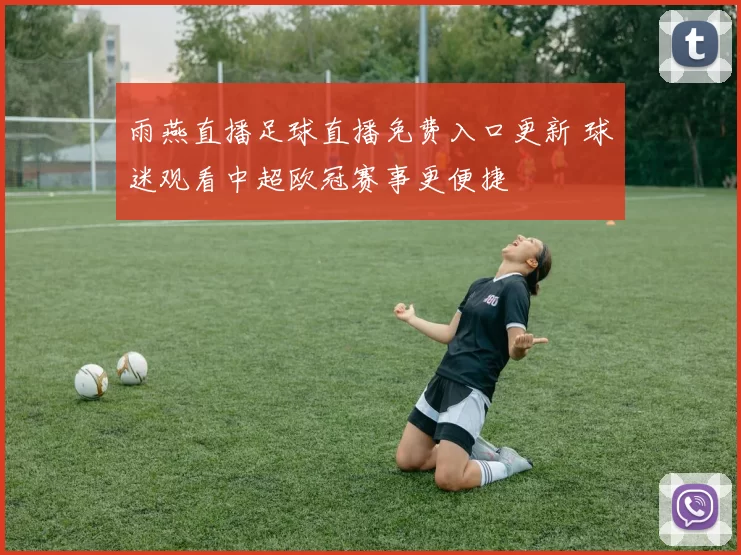 雨燕直播足球直播免费入口更新 球迷观看中超欧冠赛事更便捷